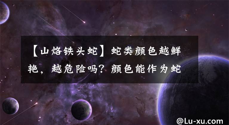 【山烙铁头蛇】蛇类颜色越鲜艳，越危险吗？颜色能作为蛇类危险评判的标准吗？