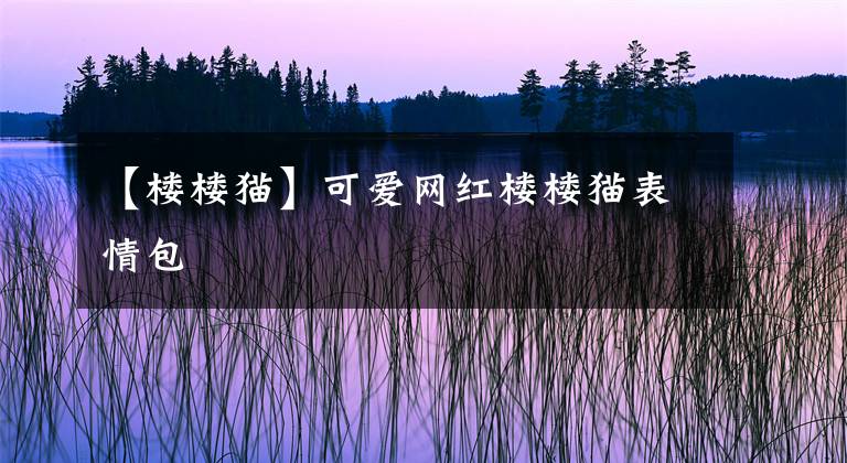 【楼楼猫】可爱网红楼楼猫表情包