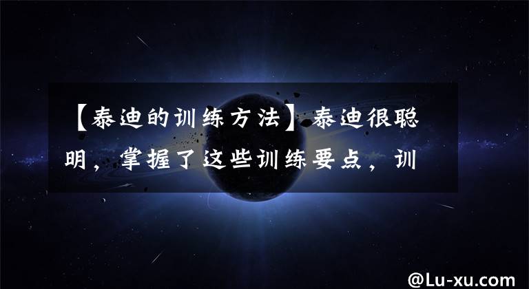 【泰迪的训练方法】泰迪很聪明，掌握了这些训练要点，训练出人见人爱的泰迪并不难！