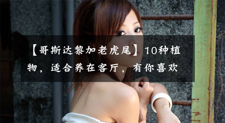 【哥斯达黎加老虎尾】10种植物，适合养在客厅，有你喜欢的吗？