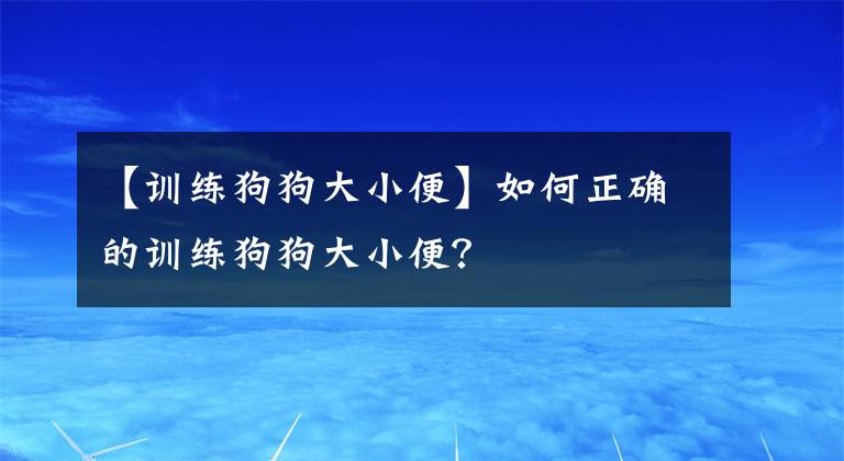 【训练狗狗大小便】如何正确的训练狗狗大小便？
