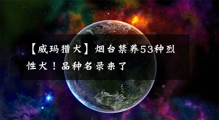【威玛猎犬】烟台禁养53种烈性犬！品种名录来了