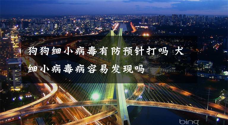 狗狗细小病毒有防预针打吗 犬细小病毒病容易发现吗