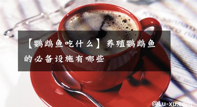 【鹦鹉鱼吃什么】养殖鹦鹉鱼的必备设施有哪些