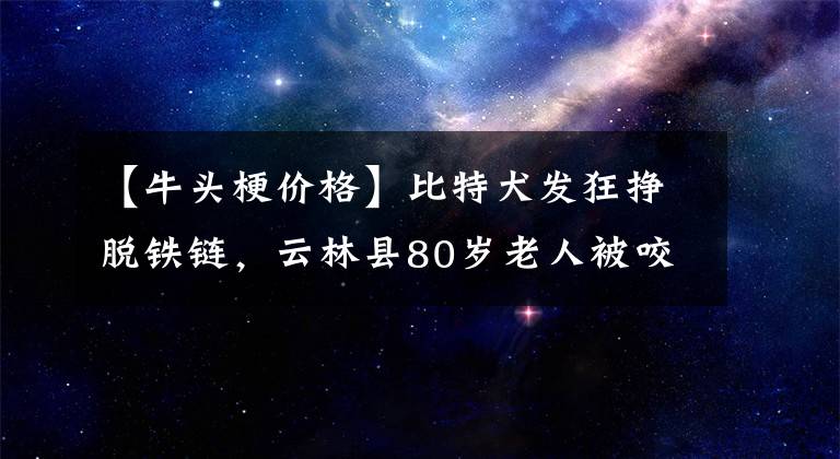【牛头梗价格】比特犬发狂挣脱铁链，云林县80岁老人被咬伤！比特犬有多危险？