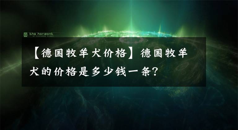 【德国牧羊犬价格】德国牧羊犬的价格是多少钱一条？