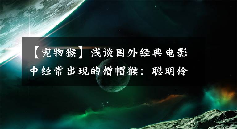 【宠物猴】浅谈国外经典电影中经常出现的僧帽猴：聪明伶俐，主角们的好帮手