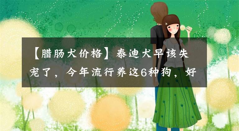 【腊肠犬价格】泰迪犬早该失宠了，今年流行养这6种狗，好养又不贵
