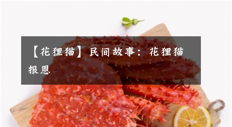 【花狸猫】民间故事：花狸猫报恩