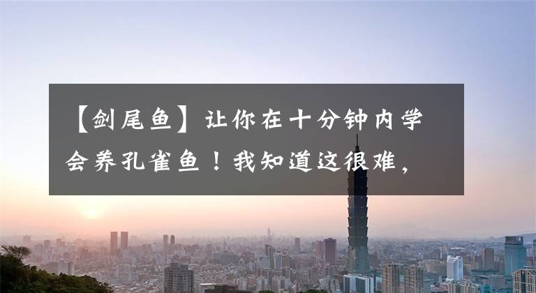 【剑尾鱼】让你在十分钟内学会养孔雀鱼！我知道这很难，但我想试试