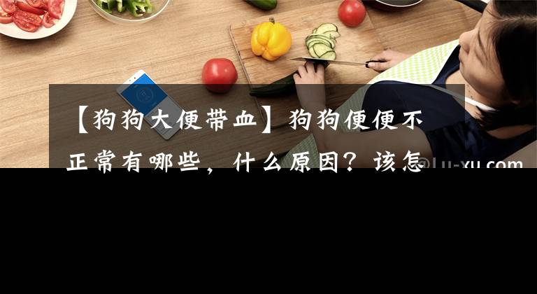 【狗狗大便带血】狗狗便便不正常有哪些，什么原因？该怎么办？