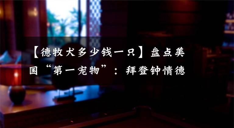 【德牧犬多少钱一只】盘点美国“第一宠物”：拜登钟情德牧、罗斯福曾派军舰救狗