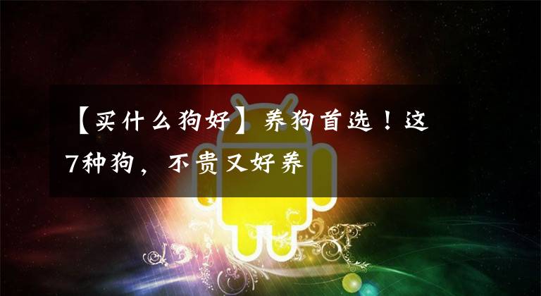 【买什么狗好】养狗首选！这7种狗，不贵又好养