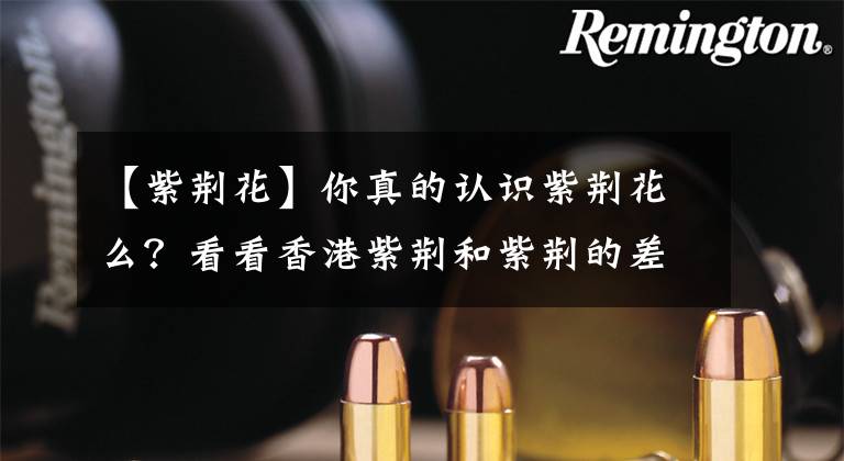 【紫荆花】你真的认识紫荆花么？看看香港紫荆和紫荆的差别