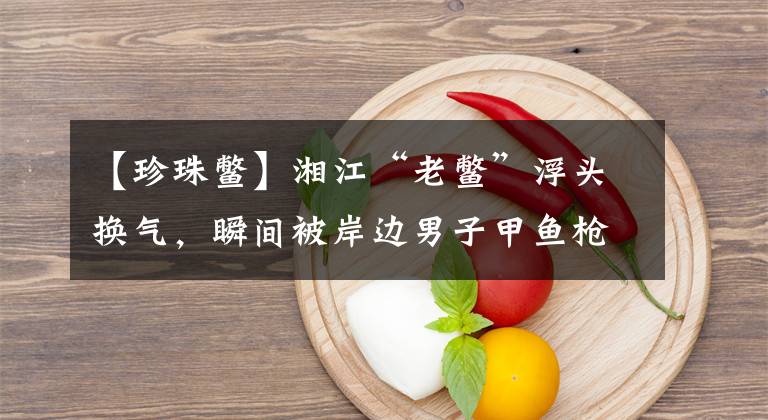 【珍珠鳖】湘江“老鳖”浮头换气，瞬间被岸边男子甲鱼枪打中，路人想500买