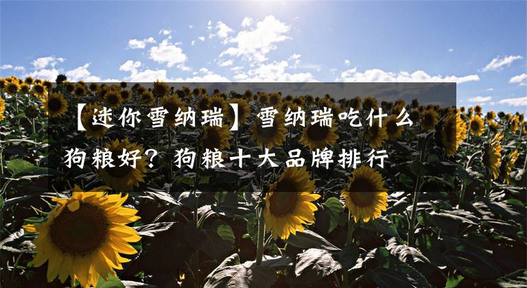 【迷你雪纳瑞】雪纳瑞吃什么狗粮好？狗粮十大品牌排行