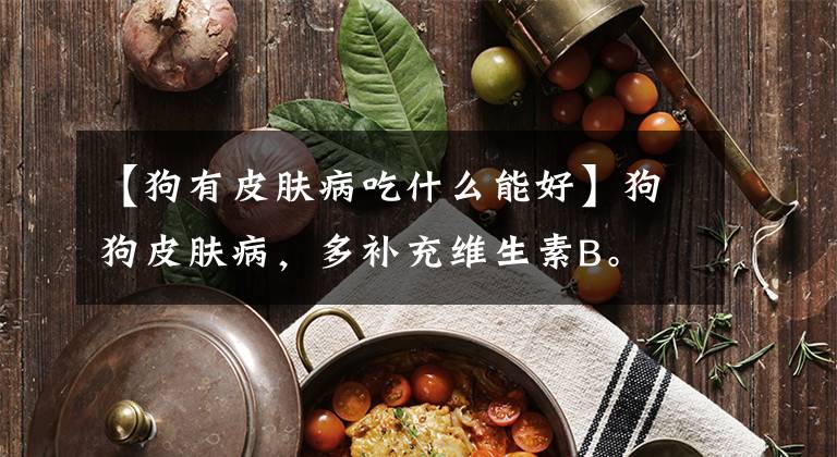 【狗有皮肤病吃什么能好】狗狗皮肤病，多补充维生素B。