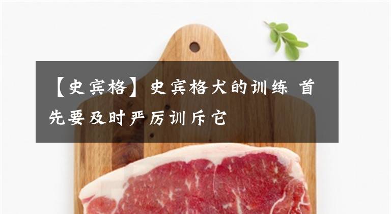 【史宾格】史宾格犬的训练 首先要及时严厉训斥它