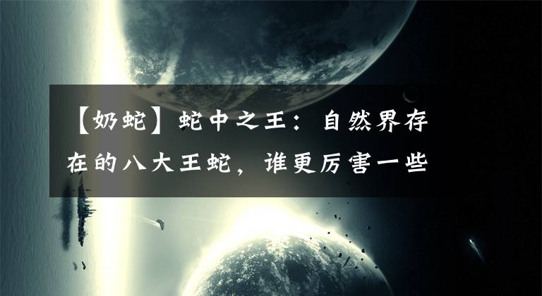 【奶蛇】蛇中之王：自然界存在的八大王蛇，谁更厉害一些？