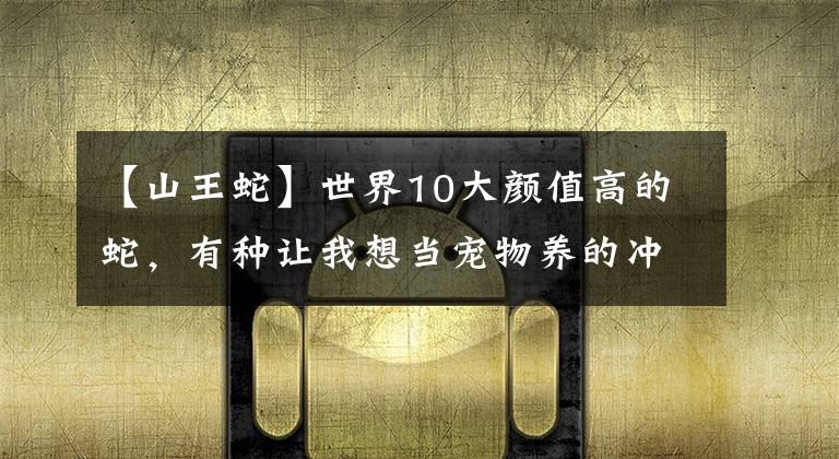 【山王蛇】世界10大颜值高的蛇，有种让我想当宠物养的冲动