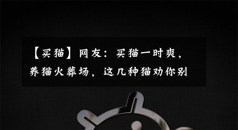 【买猫】网友：买猫一时爽，养猫火葬场，这几种猫劝你别乱入手