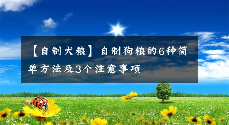 【自制犬粮】自制狗粮的6种简单方法及3个注意事项