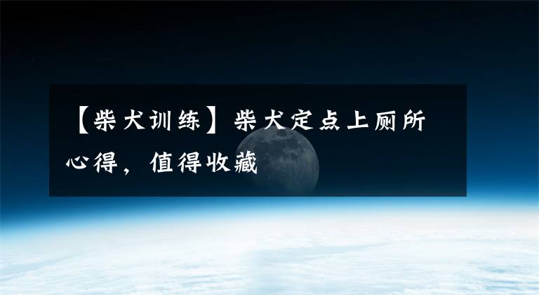 【柴犬训练】柴犬定点上厕所心得，值得收藏