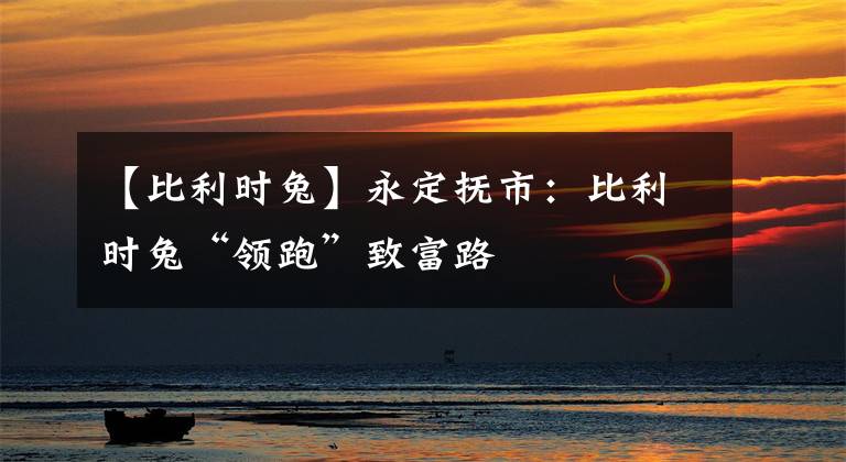 【比利时兔】永定抚市：比利时兔“领跑”致富路