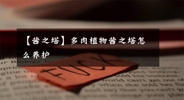 【茜之塔】多肉植物茜之塔怎么养护