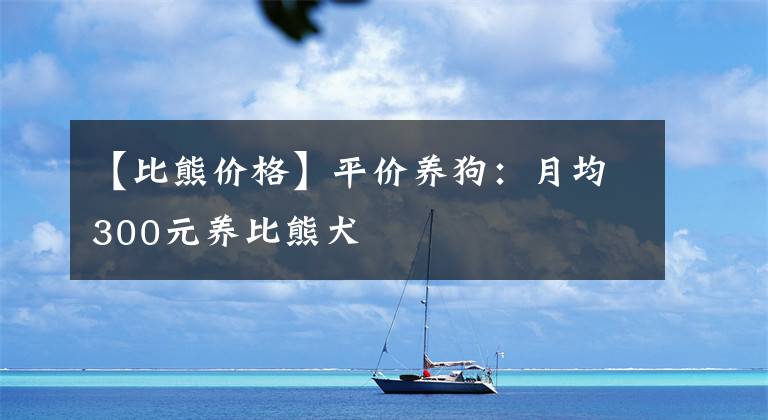 【比熊价格】平价养狗：月均300元养比熊犬