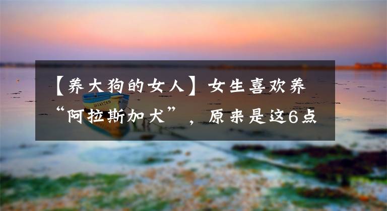 【养大狗的女人】女生喜欢养“阿拉斯加犬”，原来是这6点原因，你知道吗？