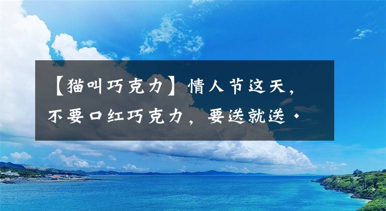 【猫叫巧克力】情人节这天，不要口红巧克力，要送就送······