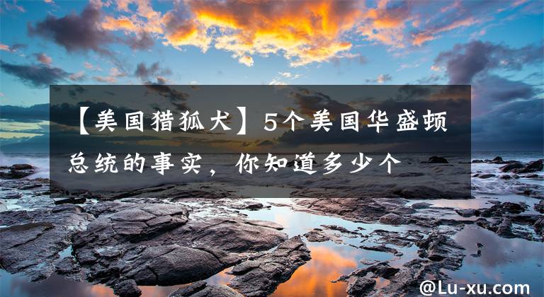 【美国猎狐犬】5个美国华盛顿总统的事实，你知道多少个