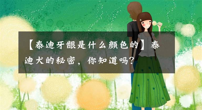 【泰迪牙龈是什么颜色的】泰迪犬的秘密，你知道吗？