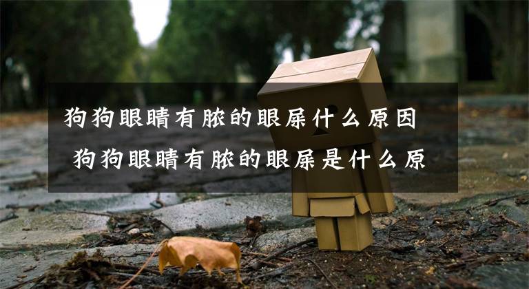 狗狗眼睛有脓的眼屎什么原因 狗狗眼睛有脓的眼屎是什么原因