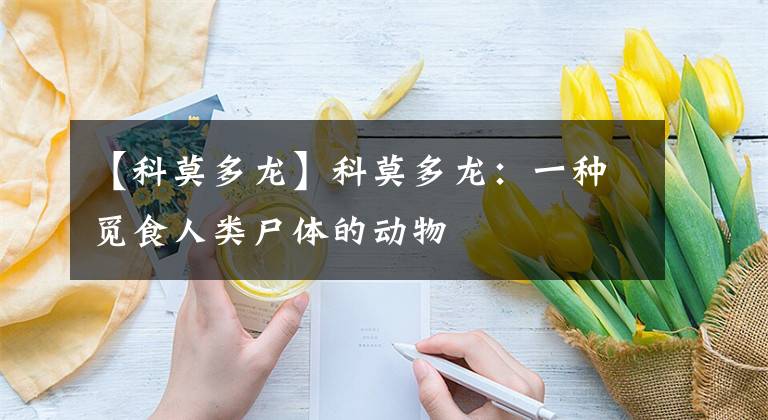 【科莫多龙】科莫多龙：一种觅食人类尸体的动物