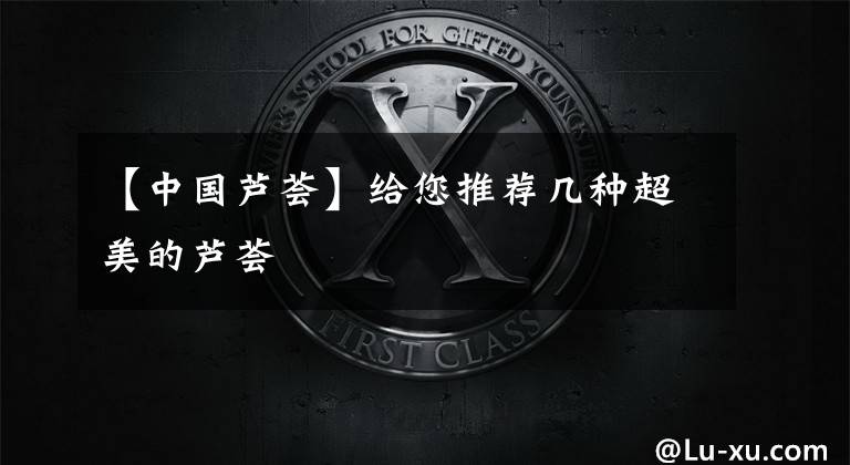 【中国芦荟】给您推荐几种超美的芦荟