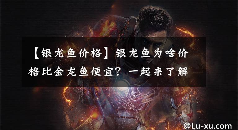 【银龙鱼价格】银龙鱼为啥价格比金龙鱼便宜？一起来了解下银龙鱼如何养