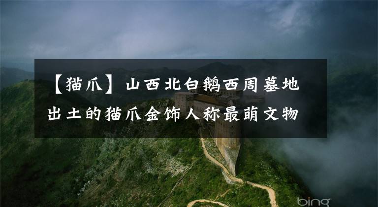 【猫爪】山西北白鹅西周墓地出土的猫爪金饰人称最萌文物，萌化无数人的心