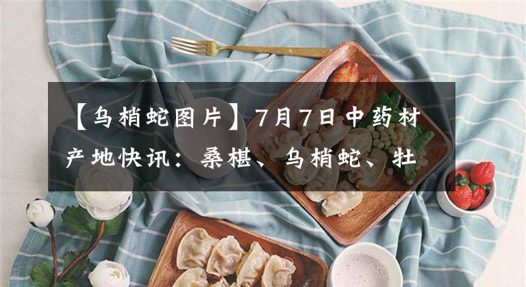 【乌梢蛇图片】7月7日中药材产地快讯：桑椹、乌梢蛇、牡丹皮、乌药、射干、白术