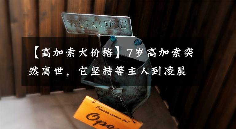 【高加索犬价格】7岁高加索突然离世，它坚持等主人到凌晨两点才走…