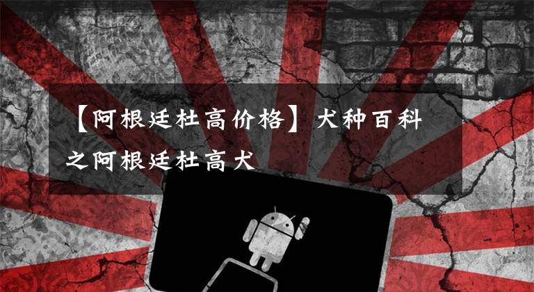 【阿根廷杜高价格】犬种百科之阿根廷杜高犬