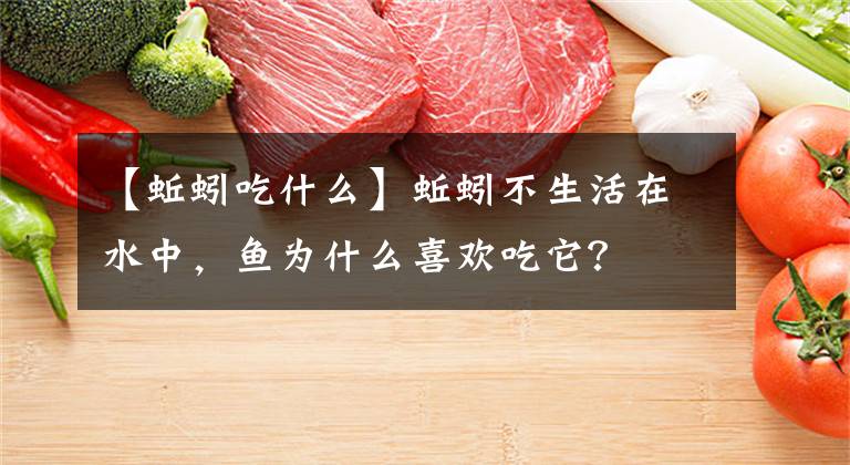 【蚯蚓吃什么】蚯蚓不生活在水中，鱼为什么喜欢吃它？
