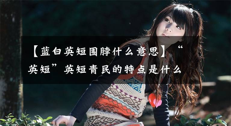 【蓝白英短围脖什么意思】“英短”英短青民的特点是什么？蓝白色的价格？