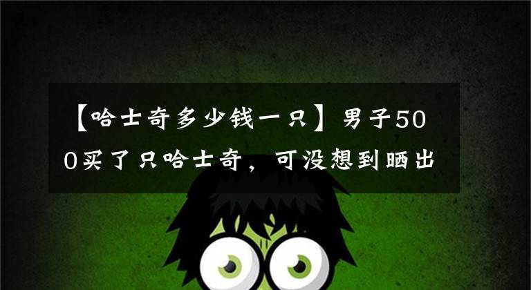 【哈士奇多少钱一只】男子500买了只哈士奇，可没想到晒出狗子后，网友就笑疯了