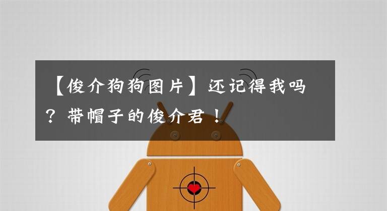 【俊介狗狗图片】还记得我吗？带帽子的俊介君！