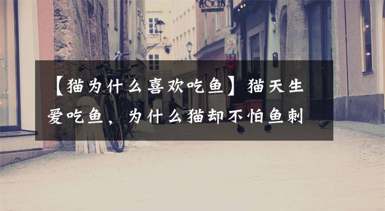 【猫为什么喜欢吃鱼】猫天生爱吃鱼，为什么猫却不怕鱼刺？