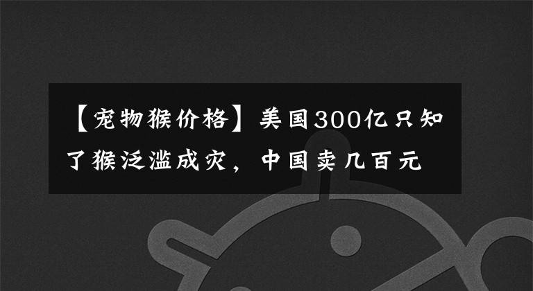 【宠物猴价格】美国300亿只知了猴泛滥成灾，中国卖几百元一斤，却还不够吃？