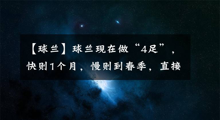 【球兰】球兰现在做“4足”，快则1个月，慢则到春季，直接开爆盆