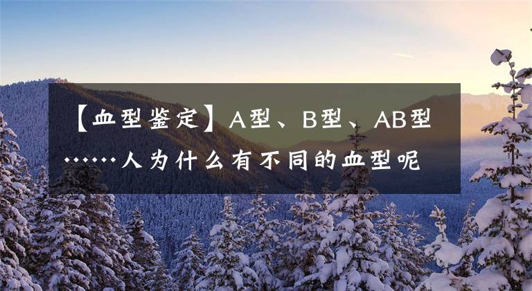 【血型鉴定】A型、B型、AB型……人为什么有不同的血型呢？